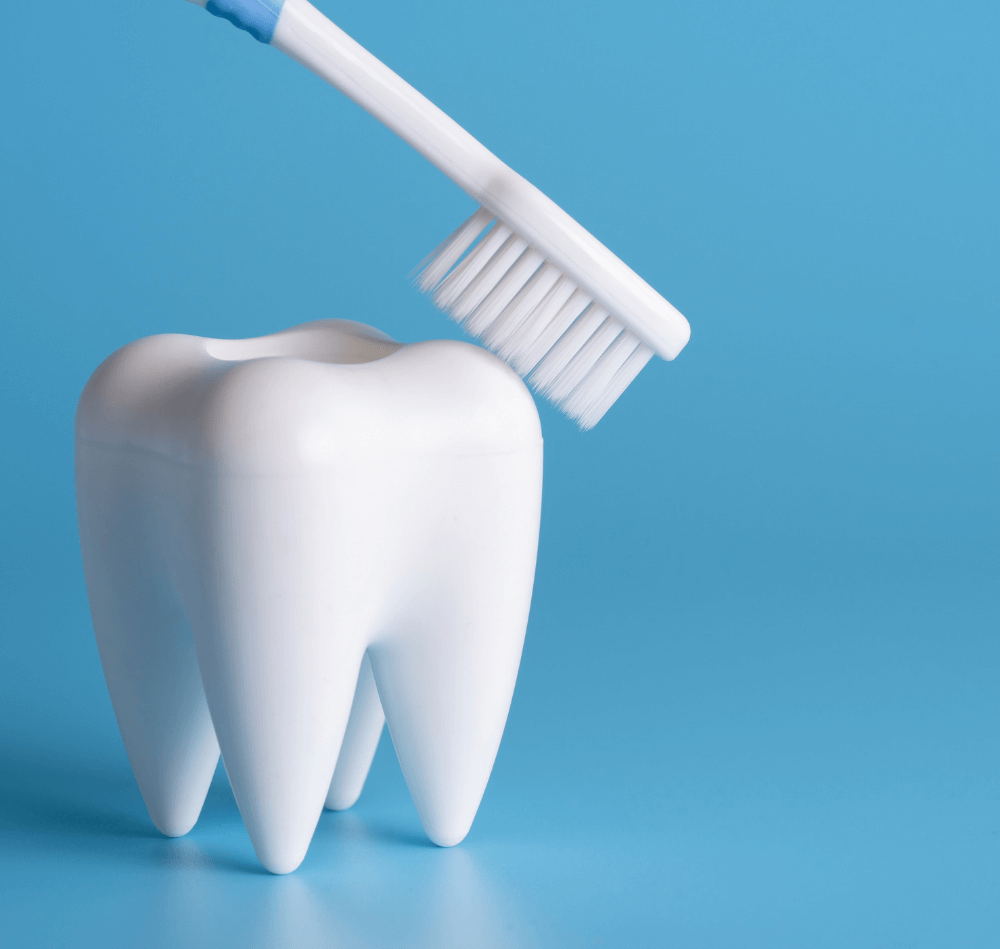 Zahn wird von einer Zahnbürste geputzt.